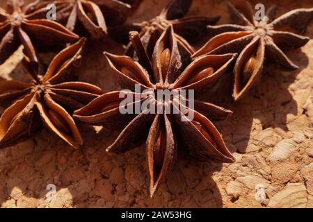 Macro. Spezia popolare comunemente chiamata anice della stella, staranise, seme dell'anice della stella, anice della stella cinese, o badiane (Illicium verum). Foto Stock