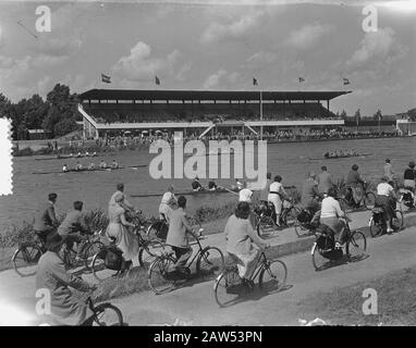 Nazionale Campione Di Tosatura Pecora Bosbaan Signore. Panoramica Data: 20 Luglio 1953 Località: Amsterdam, Amsterdam Forest, Bobaan, North Holland Foto Stock