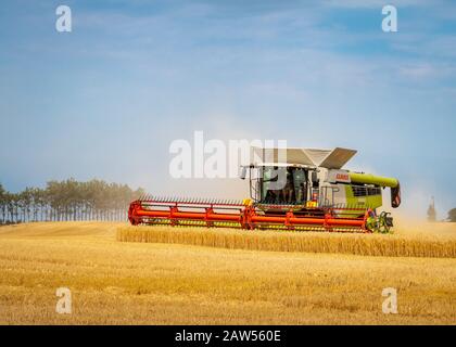 Canterbury, Nuova Zelanda - 2 febbraio 2020: Una mietitrebbia di grandi dimensioni che lavora in un campo d'orzo in estate Foto Stock