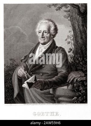 1832 , GERMANIA : il poeta tedesco Johann Wolfgang von GOETHE ( 1749 - 1832 ) , ritratto inciso da Charlotte Amalia Schwergeburth , 1832 . Goethe" Foto Stock