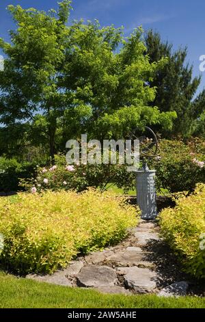 Sentiero in pietra che conduce ad una meridiana a forma di globo delimitata da Spiraea japonica 'Gold Mound' - arbusti Spirea in campagna cortile giardino in primavera Foto Stock