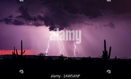 A strong monsoon storm with lightning and heavy rain moves through the desert near Tucson, Arizona. Foto Stock
