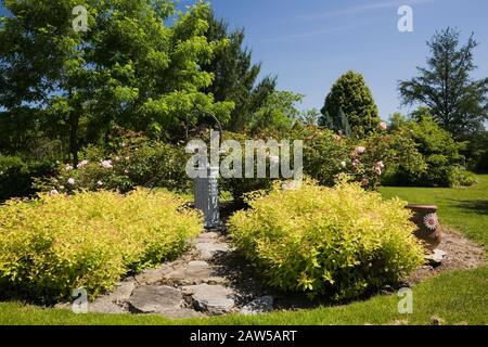 Sentiero in pietra che conduce ad una meridiana a forma di globo delimitata da Spiraea japonica 'Gold Mound' - arbusti Spirea in giardino cortile in primavera Foto Stock