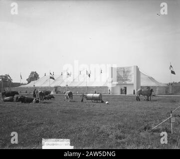 Esposizione Pubblica Eindhoven Data: 24 Agosto 1949 Luogo: Eindhoven Parole Chiave: Mostre Foto Stock