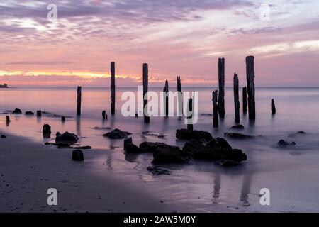 Port Willunga Beach jetty rovine in Australia del sud alight con gli inusuali colori pastello e porpora del tramonto. Foto Stock