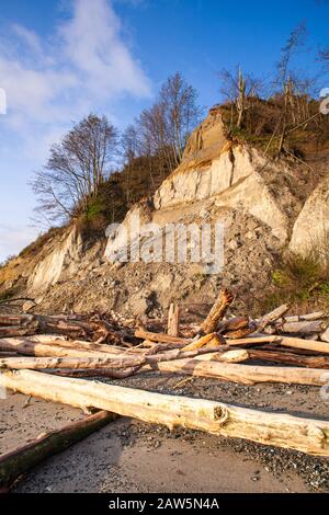 Misure di protezione contro l'erosione da spiaggia utilizzando tronchi e rocce sull'isola di Vancouver Foto Stock