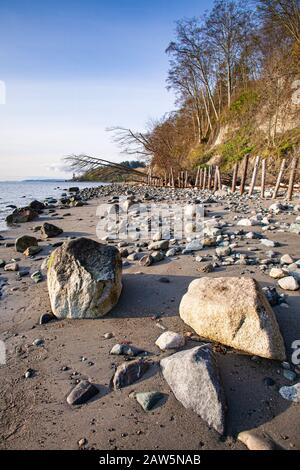 Misure di protezione contro l'erosione da spiaggia utilizzando tronchi e rocce sull'isola di Vancouver Foto Stock