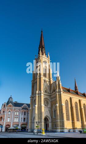 Cattedrale cattolica romana, 1895, a Trg Slobode (Piazza della Libertà) a Novi Sad, Vojvodina, Serbia Foto Stock