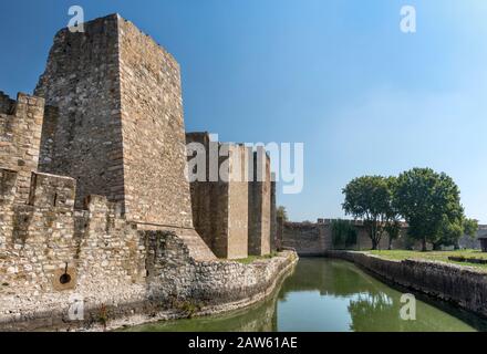 Muro difensivo alla Cittadella di Despot Djuradj (città Interna), Fortezza di Smederevo, medievale città fortificata di Smederevo, distretto di Podunavlje, Serbia Foto Stock