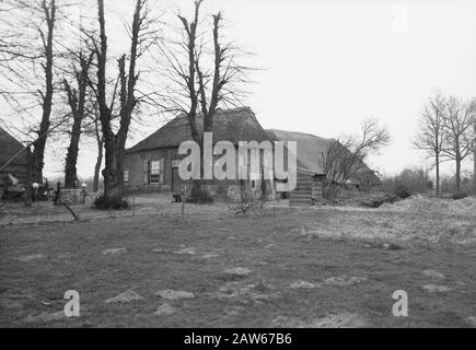 Ex Brabant fattoria a Nistelrode Data: Non data posizione: Nistelrode Parole Chiave: Fattorie, edifici Foto Stock