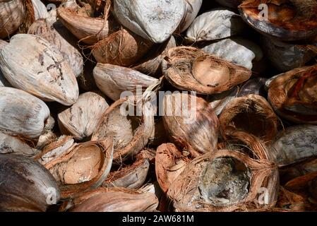 Mucchio di bucce vuote di cocco. Foto Stock