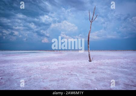 Splendida vista del più grande lago salato Sasik-Sivash situato sulla penisola di Crimea Foto Stock