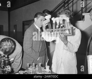 Press Tour delle dune lungo la posizione del giardino d'acqua in Av.. Waterl. Data: 20 Aprile 1961 Foto Stock