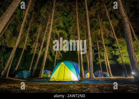 Avventure Camping turismo e tenda sotto la vista pineta paesaggio vicino acqua notte all'aperto a Pang-ung, pineta parco, Mae Hong Son, Thaila Foto Stock