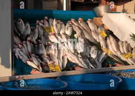 Istanbul, Turchia - 14 gennaio 2020: Un Fishmonger al suo stand nel mercato del pesce vicino al ponte di Galata chiamato Karakoy Balik Pasari Foto Stock