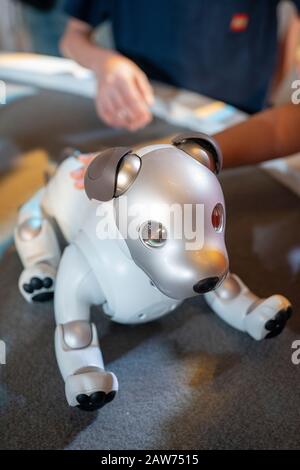 Shenzhen, Cina, Aprile 2019. Robot AIBO in esposizione a Sony Expo 2019. AIBO (aibo stilizzato, Artificial Intelligence Robot) è una serie di animali da compagnia robotizzati Foto Stock