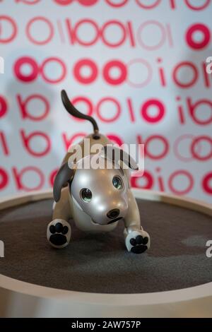 Shenzhen, Cina, Aprile 2019. Robot AIBO in esposizione a Sony Expo 2019. AIBO (aibo stilizzato, Artificial Intelligence Robot) è una serie di animali da compagnia robotizzati Foto Stock