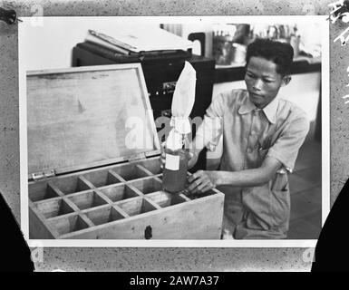 M.S. Orange Netherlands Steamship Company impiegato come nave di ospedale nella marina australiana. Hatty packing Blood plasma Date: 1940-1945 Location: Indonesia Dutch East Indies Keywords: Navi ospedaliere, marine, navi passeggeri, seconda guerra mondiale Foto Stock