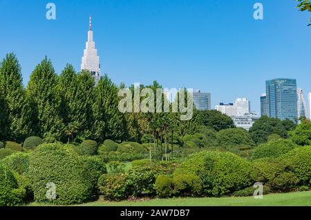 Parco d'estate con alti edifici di uffici sullo sfondo. Tokyo, Giappone Foto Stock