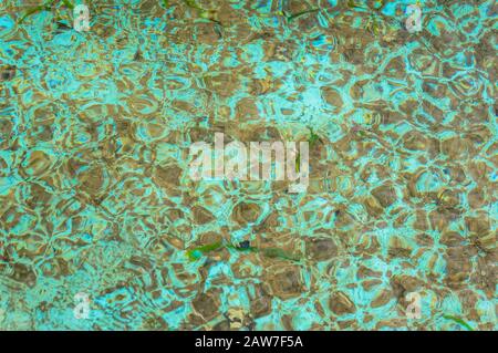 Acqua astratta trama fondo con sabbia e alghe visibili attraverso acqua trasparente Foto Stock