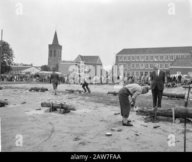 Catena nazionale ha visto concorsi Data: 23 agosto 1962 Parole Chiave: Alberi, concorsi, visto Foto Stock