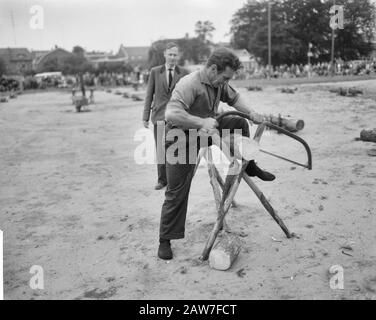 Catena nazionale ha visto concorsi Data: 23 agosto 1962 Parole Chiave: Alberi, concorsi, visto Foto Stock