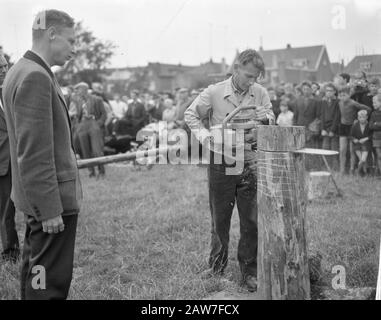 Catena nazionale ha visto concorsi Data: 23 agosto 1962 Parole Chiave: Alberi, concorsi, visto Foto Stock