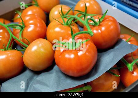 I pomodori rossi di vite selezionati e imballati in scatole sono pronti per essere inviati dalla serra al commercio. Foto Stock