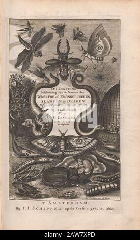 Pagina del titolo Copperplate print da Johannes Jonston libro of Nature 'D  LW AT  r. I. Ionstons Beschrijving vande natuur der vogelen neffens haer beeldenissen in koper gesneden' Pubblicato ad Amsterdam nel 1660 Foto Stock