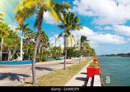 Strada asfaltata lungo la costa tropicale con palme ed edifici su un lato. Sentiero a piedi sul lungomare di Varadero. Cuba Foto Stock