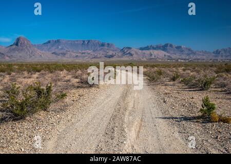 Chisos Mountains, da Black Gap Road, 4x4 strada nel deserto di Chihuahuan, Big Bend National Park, Texas, Stati Uniti Foto Stock