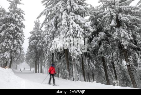 Oberwiesenthal, Germania. 07th Feb, 2020. Gli sportivi invernali attraversano la foresta invernale sul Fichtelberg. Lo stesso giorno le vacanze invernali di due settimane iniziano in Sassonia. Dopo le giornate calde e piene di pioggia, le stazioni sciistiche sassone sperano di nuovo per il freddo e la neve. Credito: Jan Woitas/Dpa-Zentralbild/Dpa/Alamy Live News Foto Stock