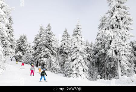 Oberwiesenthal, Germania. 07th Feb, 2020. Gli sportivi invernali attraversano la foresta invernale sul Fichtelberg. Lo stesso giorno le vacanze invernali di due settimane iniziano in Sassonia. Dopo le giornate calde e piene di pioggia, le stazioni sciistiche sassone sperano di nuovo per il freddo e la neve. Credito: Jan Woitas/Dpa-Zentralbild/Dpa/Alamy Live News Foto Stock