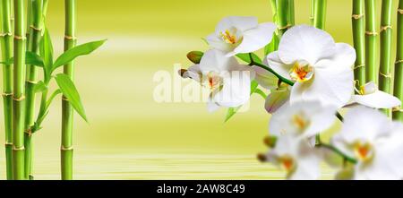 sfondo spa con ocideen e bamboo in verde Foto Stock