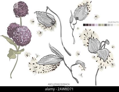 Bellezza decorativa elegante illustrazione per il design. Illustrazione Vettoriale
