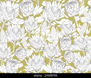 Set di pattern vettoriali di proteas. Illustrazione Vettoriale