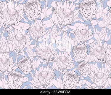 Set di pattern vettoriali di proteas. Illustrazione Vettoriale