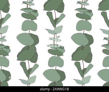 Eucalipto baby blu, fogliame rami naturali con foglie verdi semi tropicale senza cuciture modello. Illustrazione Vettoriale