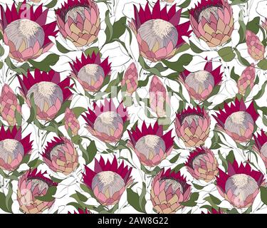 Set di pattern vettoriali di proteas. Illustrazione Vettoriale