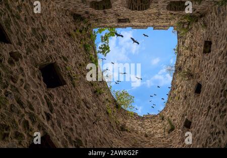 Vista dall'alto degli uccelli che volano tra le mura di zil kale, Camlihemsin, Rize Foto Stock