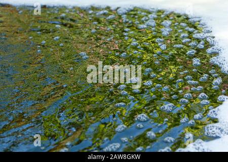 Bolle, increspature, schiuma e riflessi in acqua Foto Stock