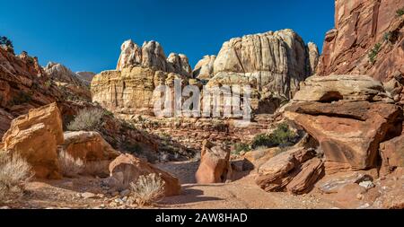 Sentiero per le Narrows con scogliere di Grand Wash, canyon nell'area di WaterPocket Fold nel Capitol Reef National Park, Colorado Plateau, Utah, Stati Uniti Foto Stock