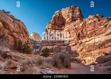 Scogliere a Capitol Gorge, canyon in Capitol Reef National Park, Golden Throne formazione in lontananza, Colorado Plateau, Utah, Stati Uniti Foto Stock