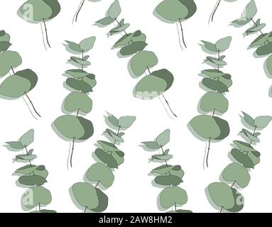 Eucalipto baby blu, fogliame rami naturali con foglie verdi semi tropicale senza cuciture modello. Illustrazione Vettoriale