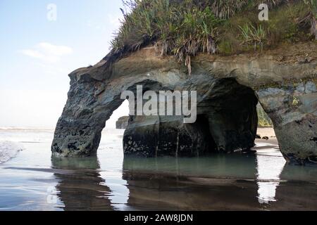Arco multiplo come la formazione di roccia che assomiglia ad un elefante alle rocce di Tongaporutu (Tre sorelle), Nuova Zelanda Foto Stock