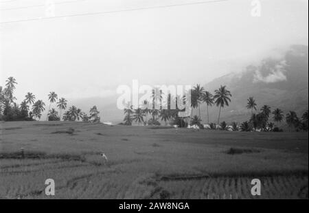 Da Singkarak a Padang Panjang [Paesaggio con campi di riso, palme, lago Singkarak e montagne] Data: Gennaio 1949 luogo: Indonesia, Indie Orientali Olandesi, Sumatra : Burgt, Th. Of / DLC Titolare: National Archives Tipo Di Materiale: Negativo (bianco / nero) numero di inventario archivio: Vedi accesso 2.24.04.02 Foto Stock