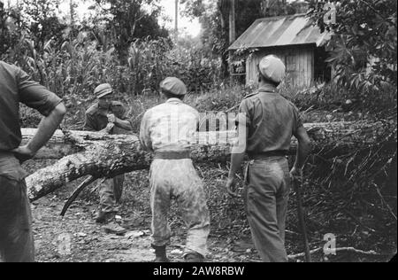 Azioni di purificazione intorno a Medan Medan-Brastagi: Azione detergente nell'area di Medan. Alberi abbattuti che bloccano la strada di pattuglia motorizzata. Il whipsaw sta per passare Data: 13 ottobre 1947 Località: Indonesia, Indie Orientali Olandesi, Sumatra Foto Stock
