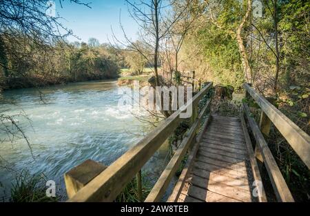 Primavera a Rag Mill wood, Slaughterford, Wiltshire. Foto Stock