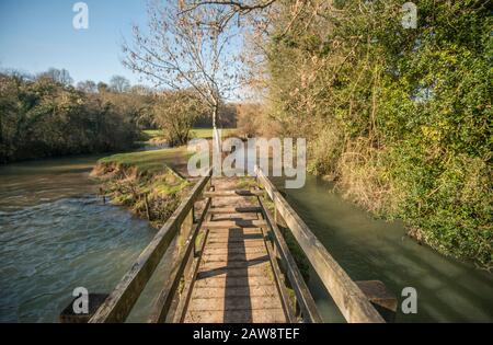 Primavera a Rag Mill wood, Slaughterford, Wiltshire. Foto Stock