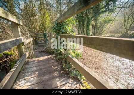 Primavera a Rag Mill wood, Slaughterford, Wiltshire. Foto Stock